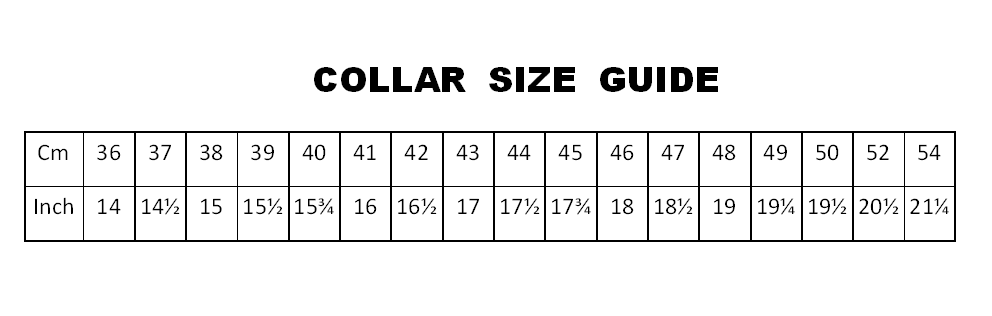 EBIS White Short Sleeve Shirt - Hugh McElvanna Menswear