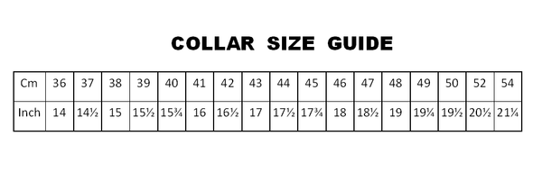 EBIS White Short Sleeve Shirt - Hugh McElvanna Menswear