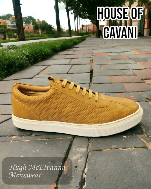 House Of Cavani CONTEST TAN Shoe - Hugh McElvanna Menswear