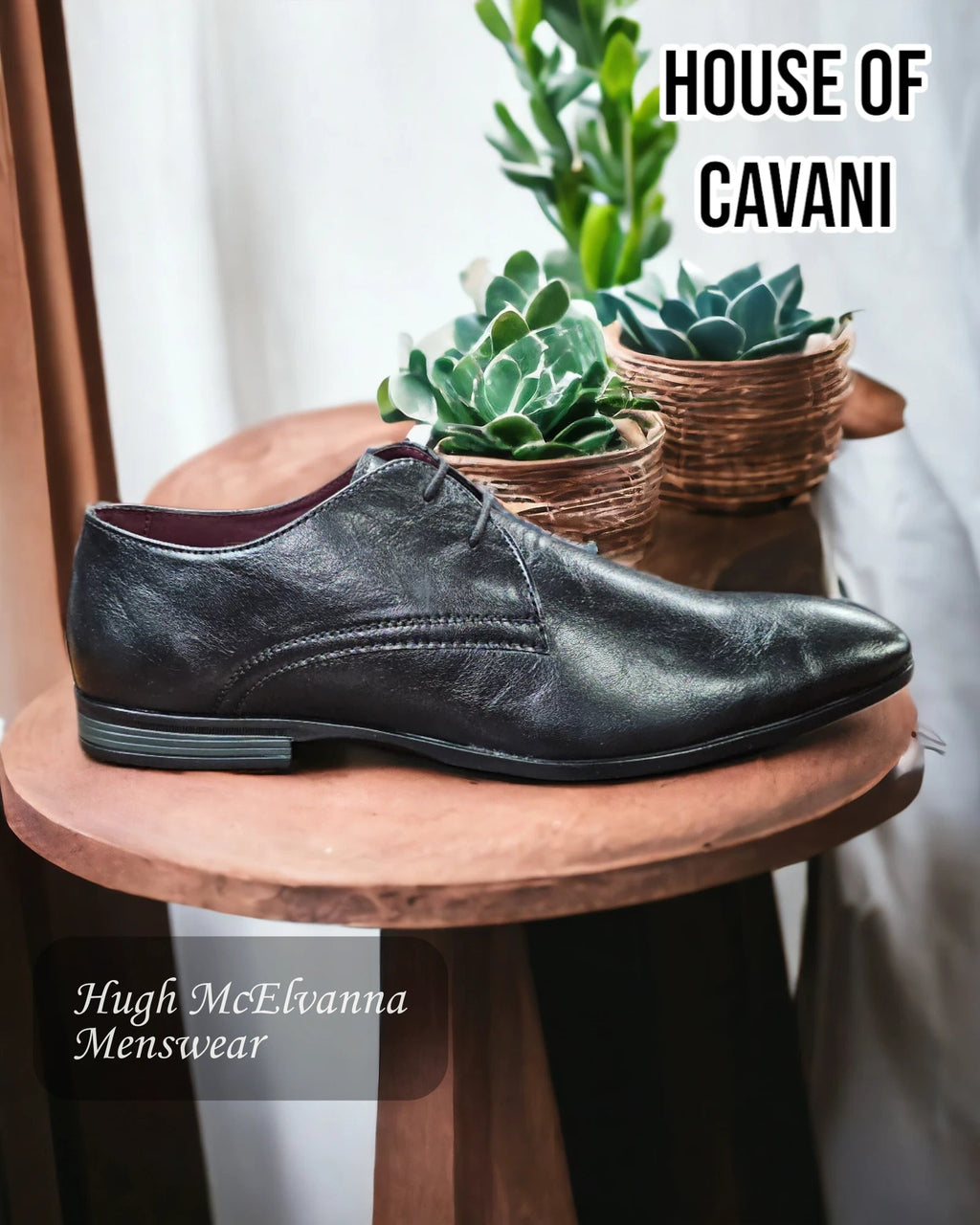 House Of Cavani MALPI Black Laced Shoes - Hugh McElvanna Menswear
