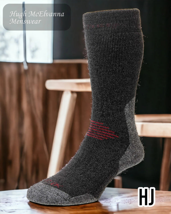 ProTrek Walking Socks - HJ702 - Hugh McElvanna Menswear