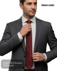 Remus Uomo Dark Plum Plain Necktie - Hugh McElvanna Menswear