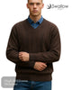 Swallow Brown Design Front V - Neck Sweater - Hugh McElvanna Menswear