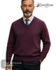Swallow REIMS V - Neck Sweater - Hugh McElvanna Menswear