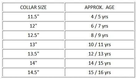 Boys Fashion White Long Sleeve Shirt by Benetti Style: OBJ - Hugh McElvanna Menswear